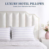 //iirorwxhikqilp5p-static.micyjz.com/cloud/liBpjKplliSRjljplljoiq/hotel-bed-pillow3.jpg