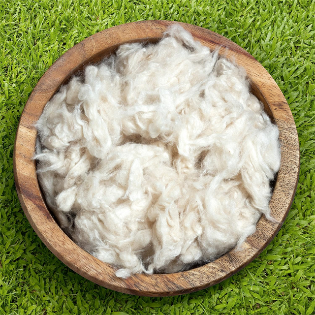 100% Kapok Fibre Organic Farging pour remplir des oreillers Couchés Couchard Sofas Dolls Matelas lits pour animaux de compagnie et plus