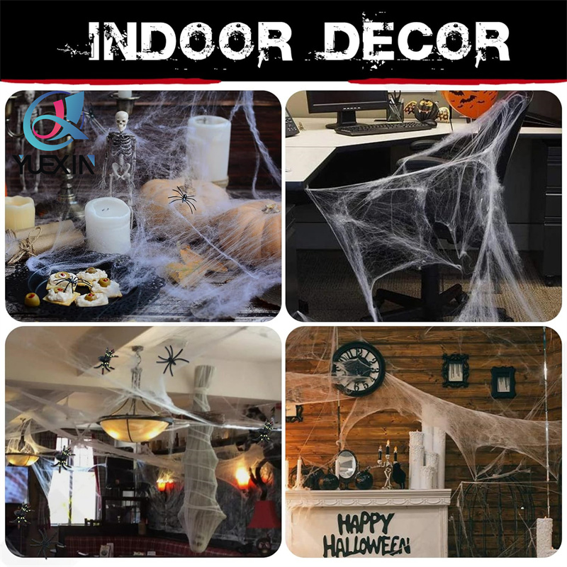 toile d'araign&eacute;e 06