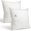 Inserts de coussin décoratifs Small Comfort Store