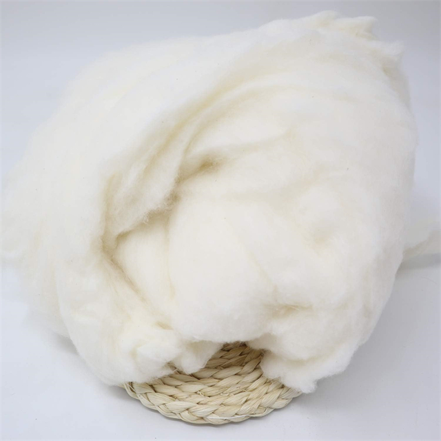 Biodégradable Fiber Organic Raw Cotton Farming Natural Cotton Farming 