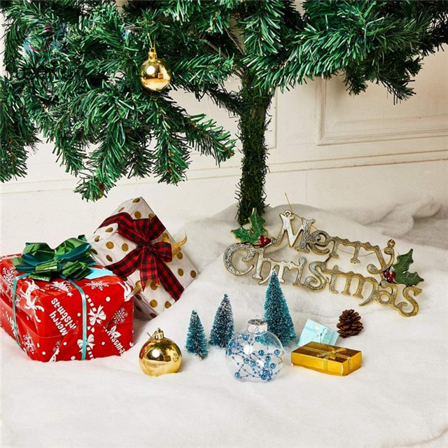 couverture de neige 00007