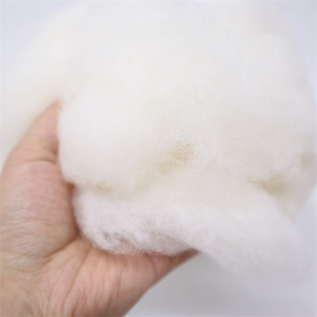 Fibre de coton 100 % naturelle pour le rembourrage des oreillers. 