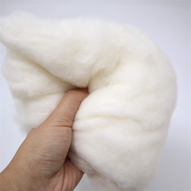 Biodégradable Fiber Organic Raw Cotton Farming Natural Cotton Farming 