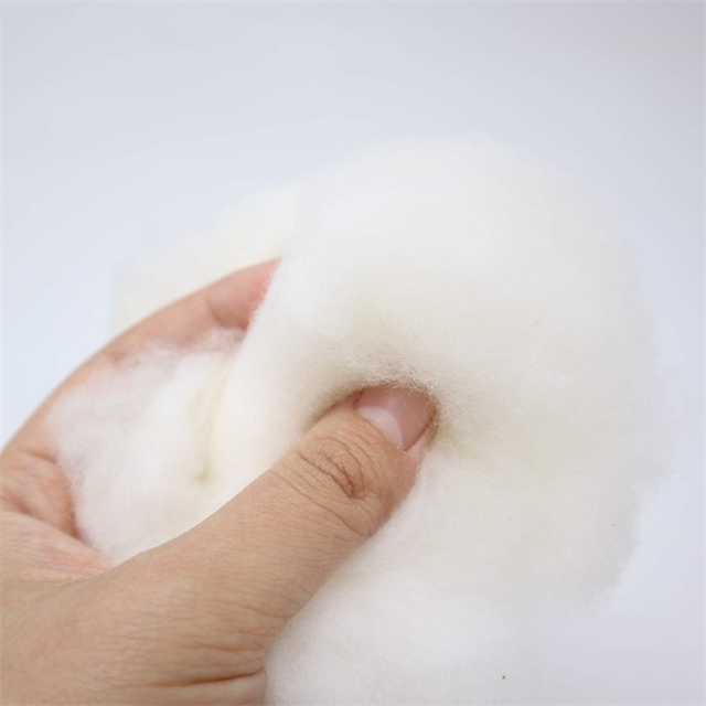 Biodégradable Fiber Organic Raw Cotton Farming Natural Cotton Farming 